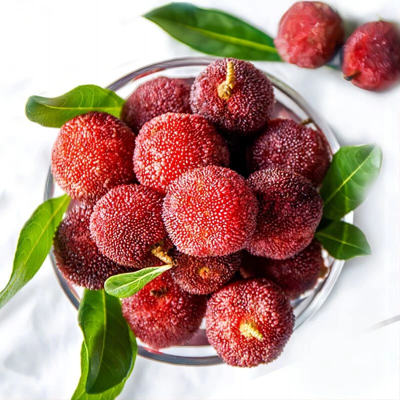 《丹选》东魁杨梅 2-5斤  新鲜水果  顺丰包邮 农产品食用