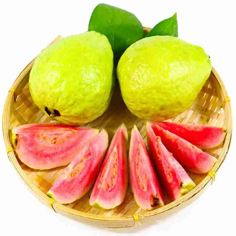 《丹选》红心芭乐 3斤 顺丰包邮 即食 口感丝滑