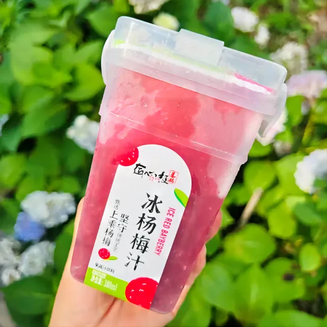 《匠心极》杨梅汁 每瓶380g 6瓶/箱  顺丰包邮 解馋办公室零食