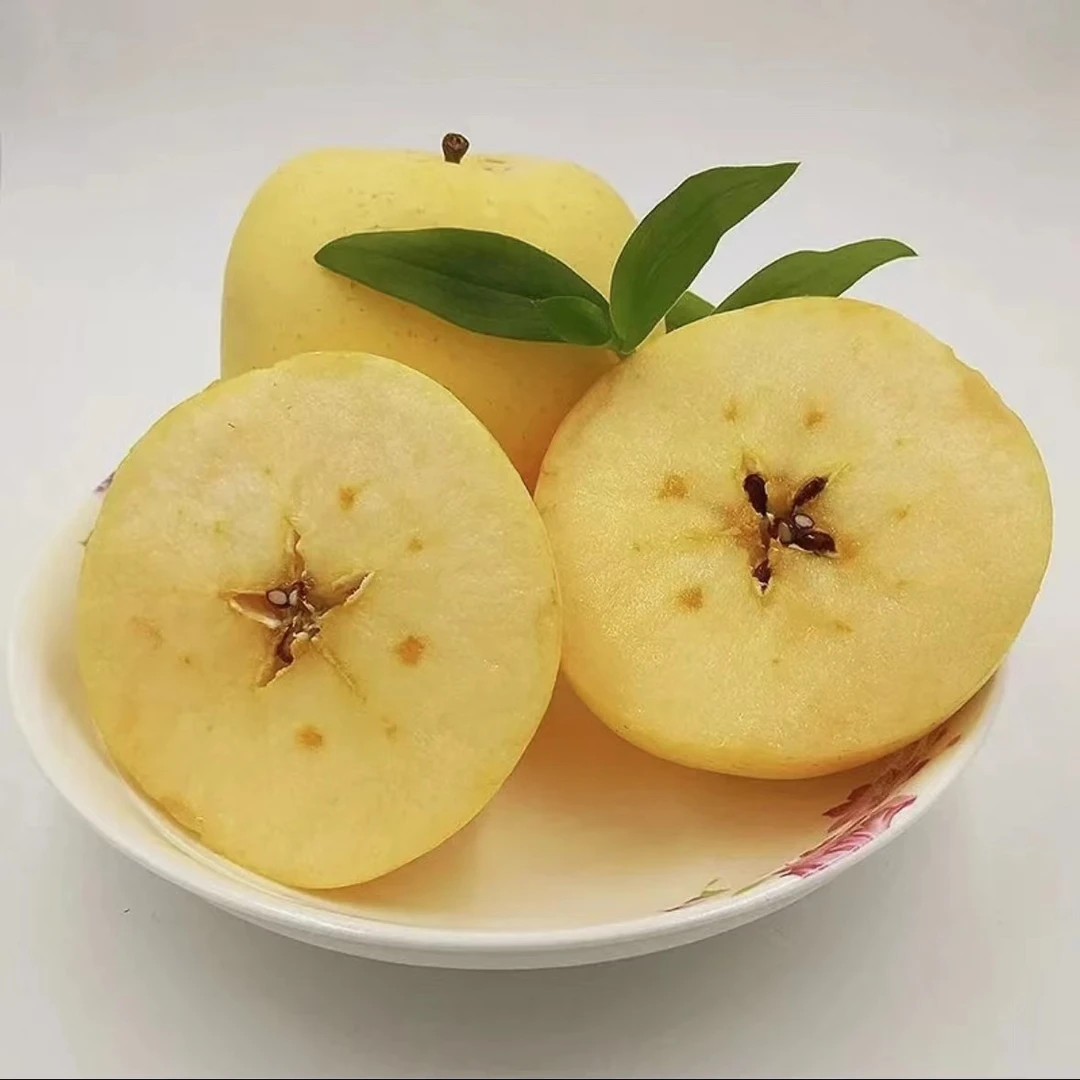 《丹选》维纳斯苹果 3斤左右 9颗 礼盒装 产地新疆 顺丰包邮