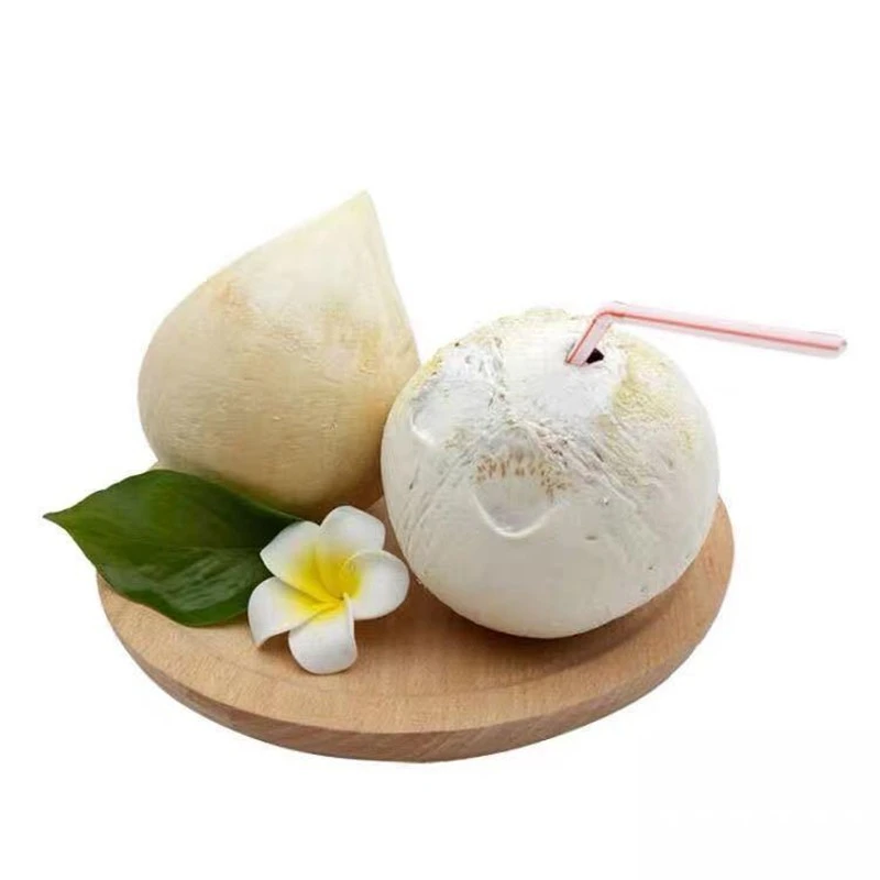 《丹选》泰国椰皇  每颗340g-400g左右 发7颗  顺丰包邮