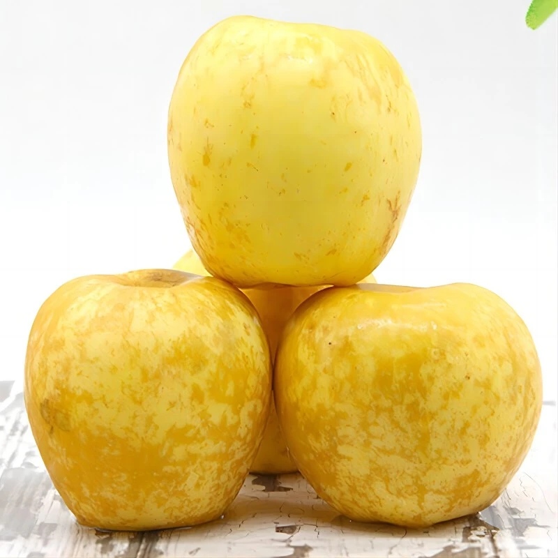 《丹选》维纳斯苹果 4斤 9粒 礼盒装 京东包邮  水果生鲜