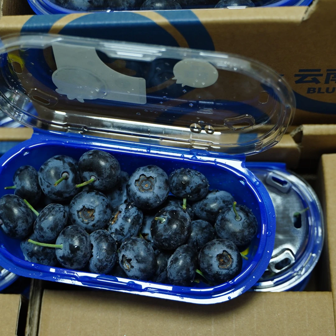 顺丰包邮云南迷迭蓝正宗蓝莓24mm+大果200g*2*4*8盒新鲜产地直发