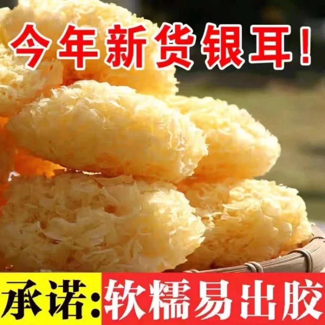 【深山小朵白银耳】椴木小朵银耳  无硫磺熏染 一年采摘一次 Y