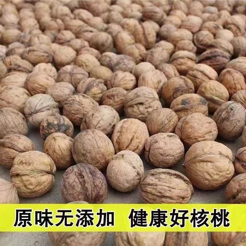 【H甘肃陇南】山核桃 野核桃 无漂白 无添加 老树山核桃