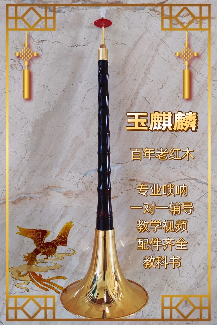 玉麒麟百年老红木D调零基础专业演奏视频级唢呐唢呐乐器练手5折
