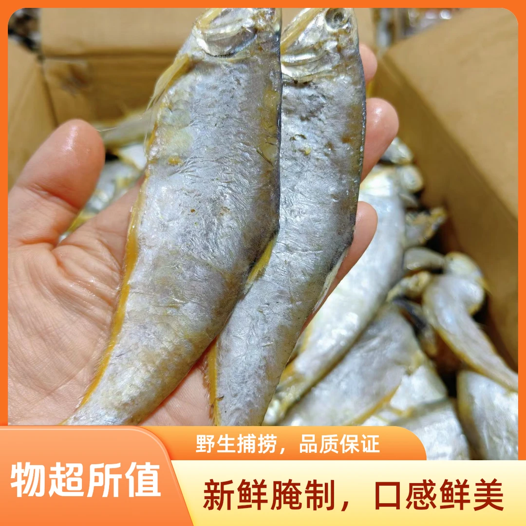 新晒半干油扣鱼马口鱼黄尖子腌制海鲜干货