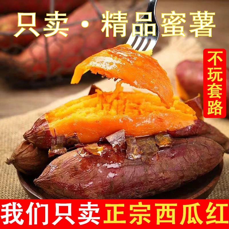 24现挖现发正宗皮薄西瓜红薯软糯香甜口蒸烤板栗红薯低糖低脂美味