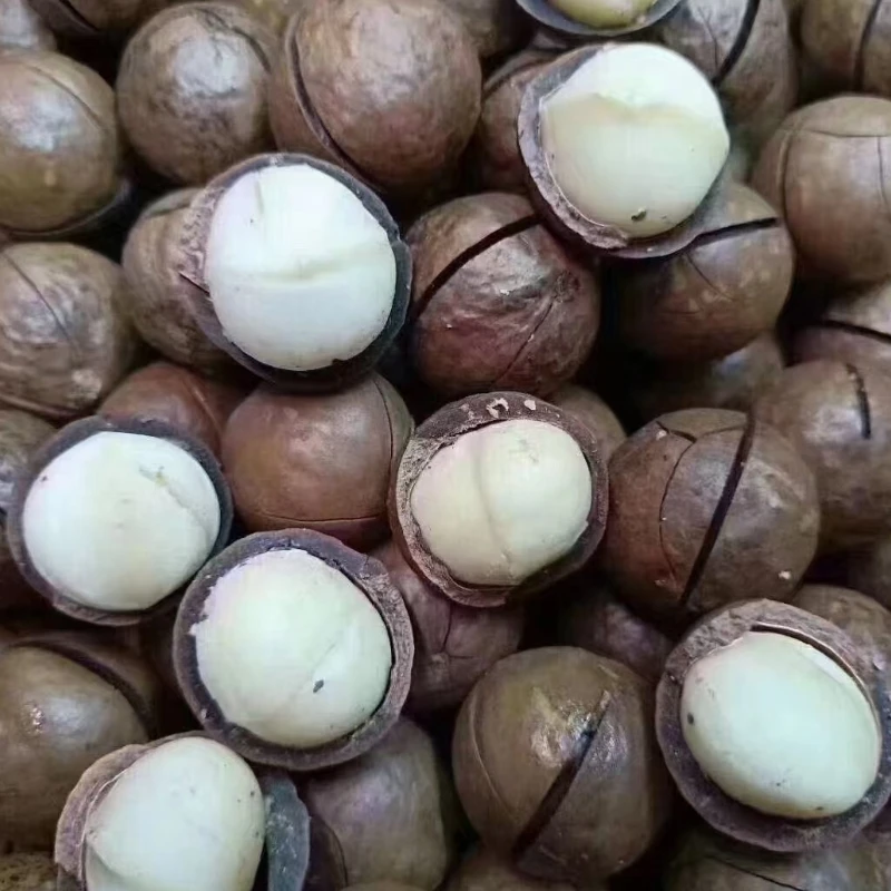 阿力夏威夷果奶油味新货大果散装一斤送开口器休闲零食坚果包邮