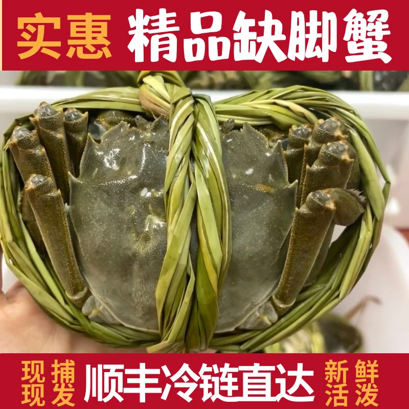 公母混搭（少爪3斤共7/8/9只）实现大闸蟹自由嗨吃停不下