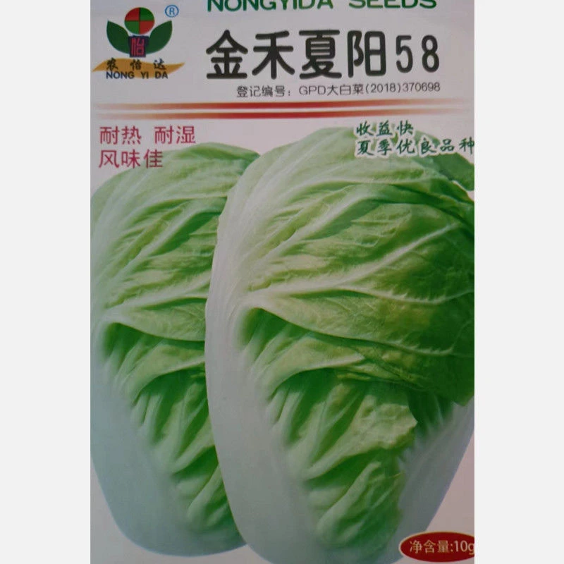 夏阳白菜种子抗热白菜种子夏秋大白菜大白菜耐热农家蔬菜种孑