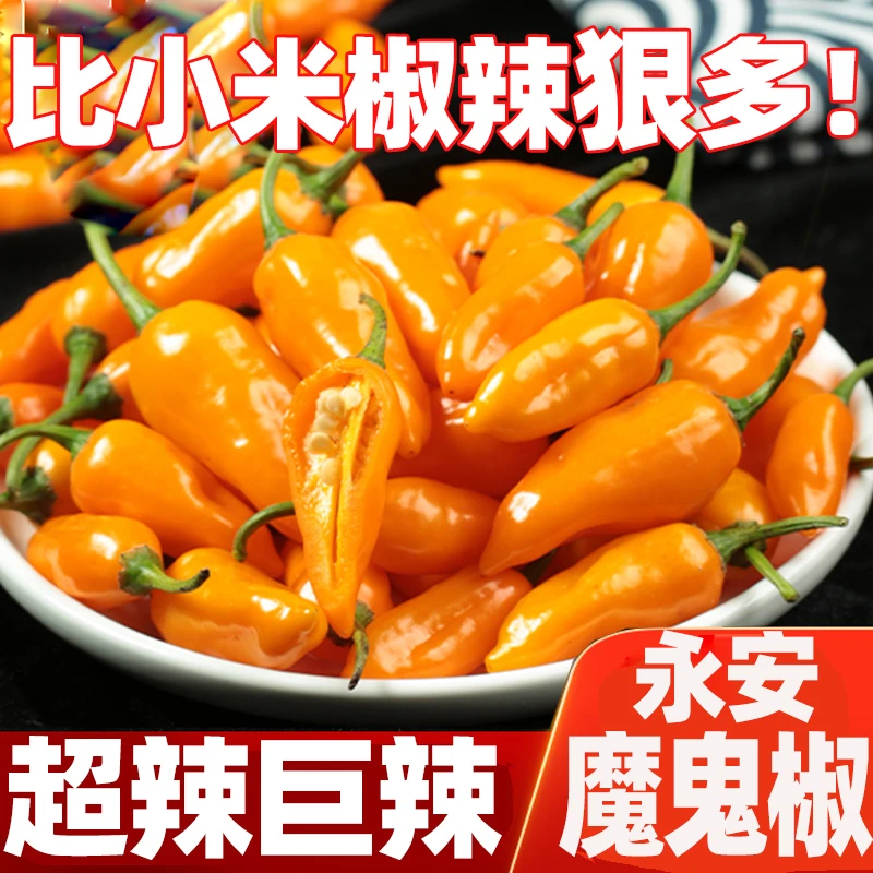 魔鬼辣椒特辣剁椒福建特产农家自制超辣酱新鲜辣椒200克-20斤蔬菜