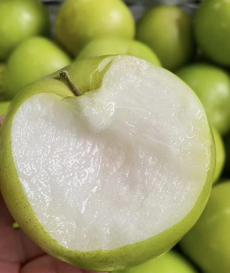 牛奶苹果脆枣4斤/8斤 台湾品种国内种植【深圳当日达】