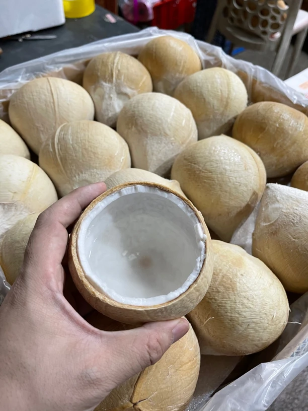 泰国牛奶椰王/泰国椰皇单果400-650g奶香味十足
