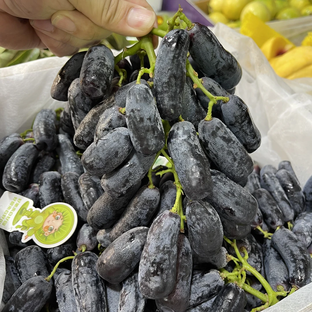 金手指/蓝宝石黑提约2斤/3.6斤/7.2斤【深圳当日达】