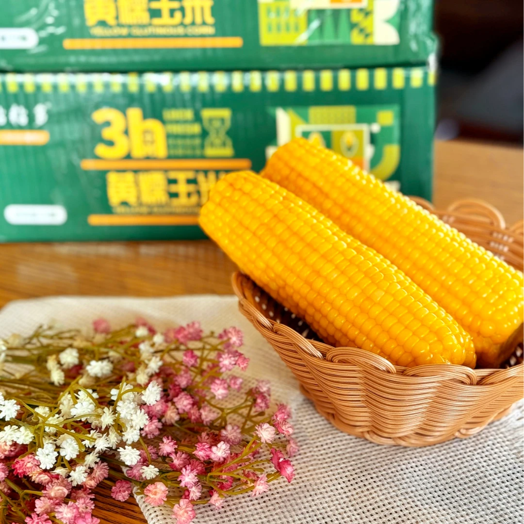 冰城浩哥专属【25年头茬新】粘粘多东北真空糯玉米软糯香甜
