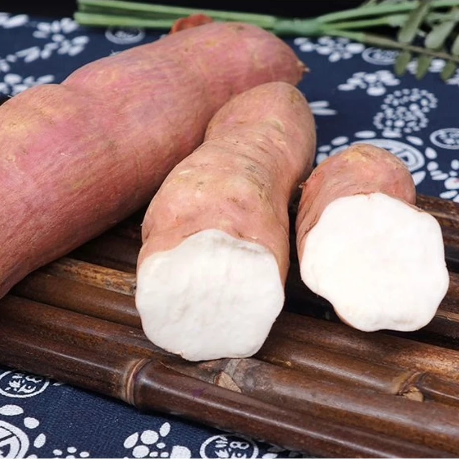 牛奶糖心蜜薯（京东包邮）