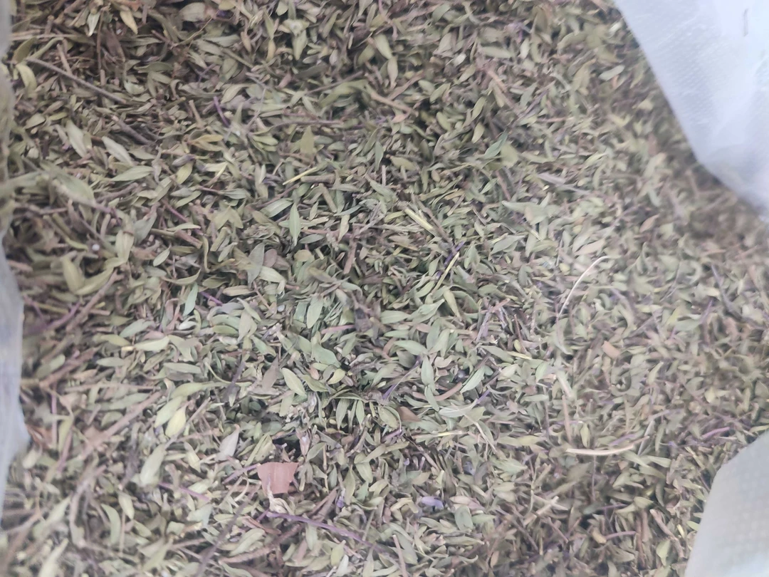 陕北地椒,又名地花椒,炖羊肉去膻味有非常好的效果