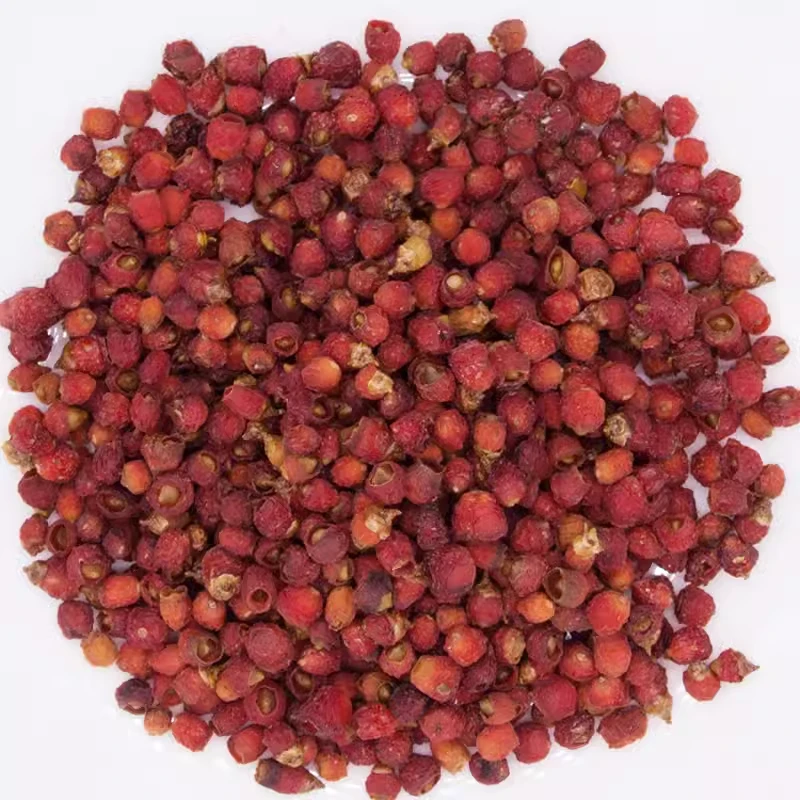 红豆杉种子南方红豆杉果实干紫杉果子原料红豆杉干果实红豆杉果子