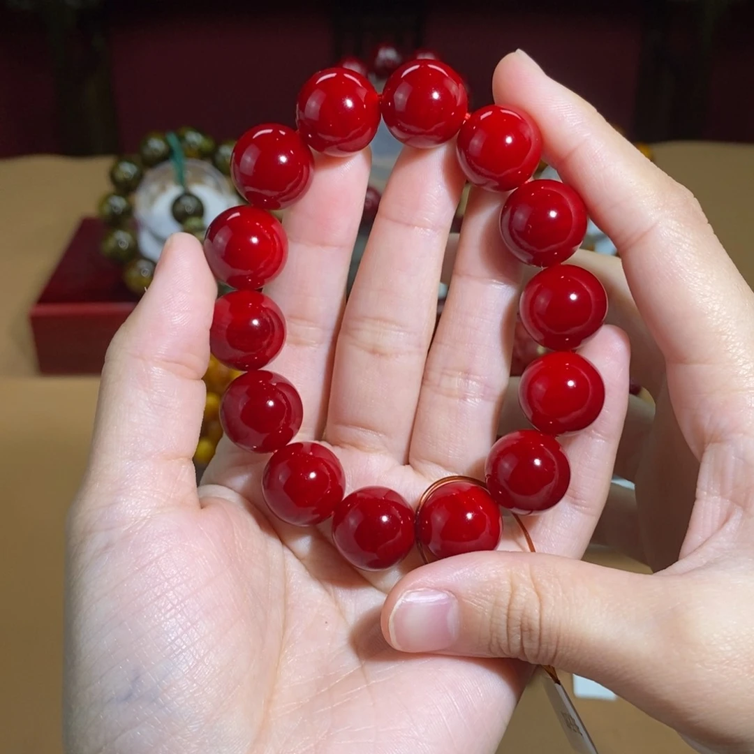 贝壳杉帝王血龙木1.5