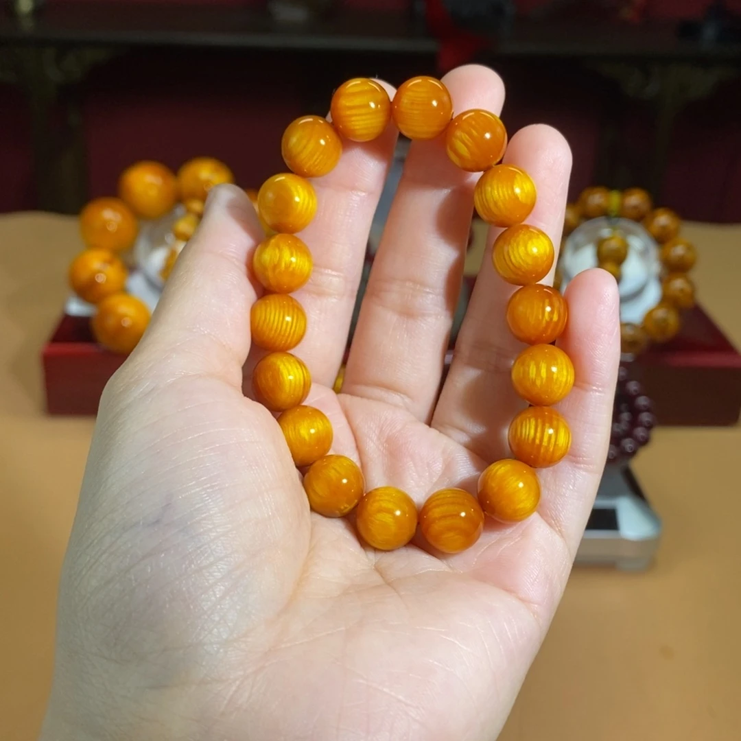 贝壳杉帝王血龙木1.0