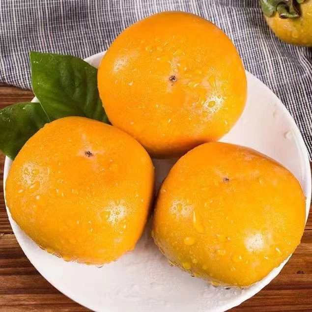 （助农产品）甜心柿子（杏花甜）（顺丰包邮）运输中有变软现象属于正常