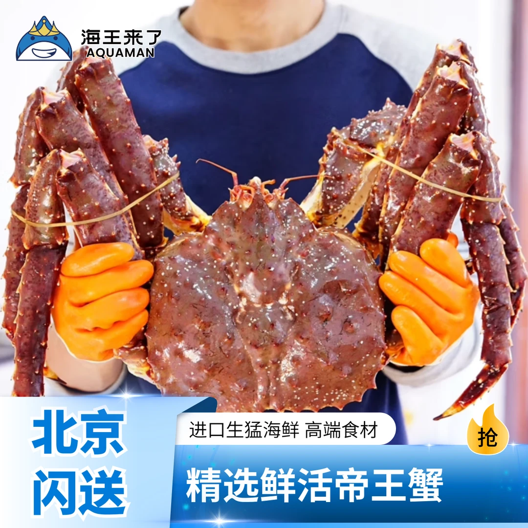 【店铺专属】鲜活帝王蟹 进口生猛海鲜 高端食材 俄罗斯海鲜水产大螃蟹