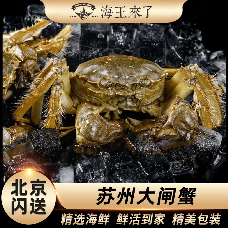 【海王来了】鲜活大闸蟹8只！2两母4只+3两公4只