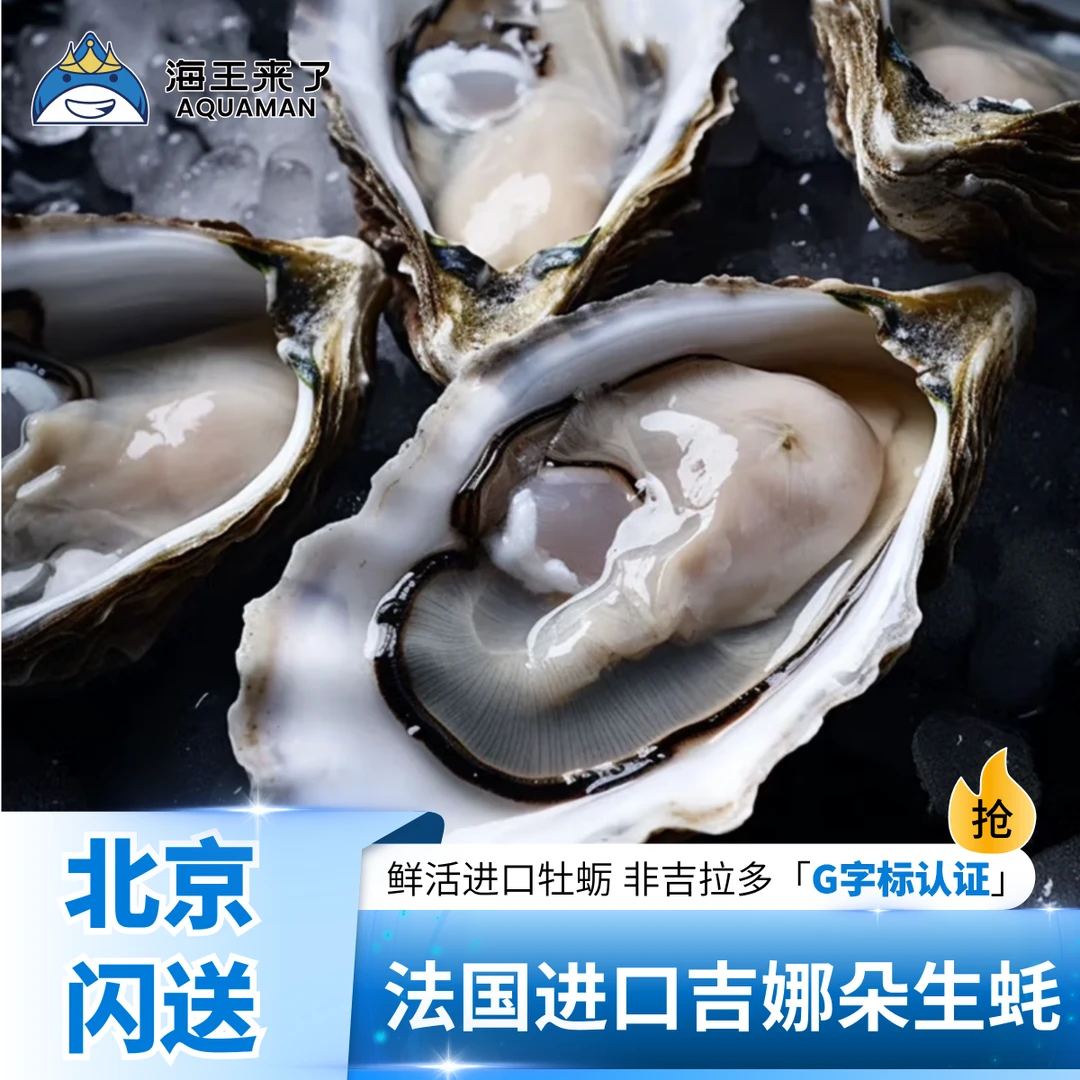 【店铺专属】法国进口吉娜朵生蚝 鲜活进口牡蛎 非吉拉多90-150g/只