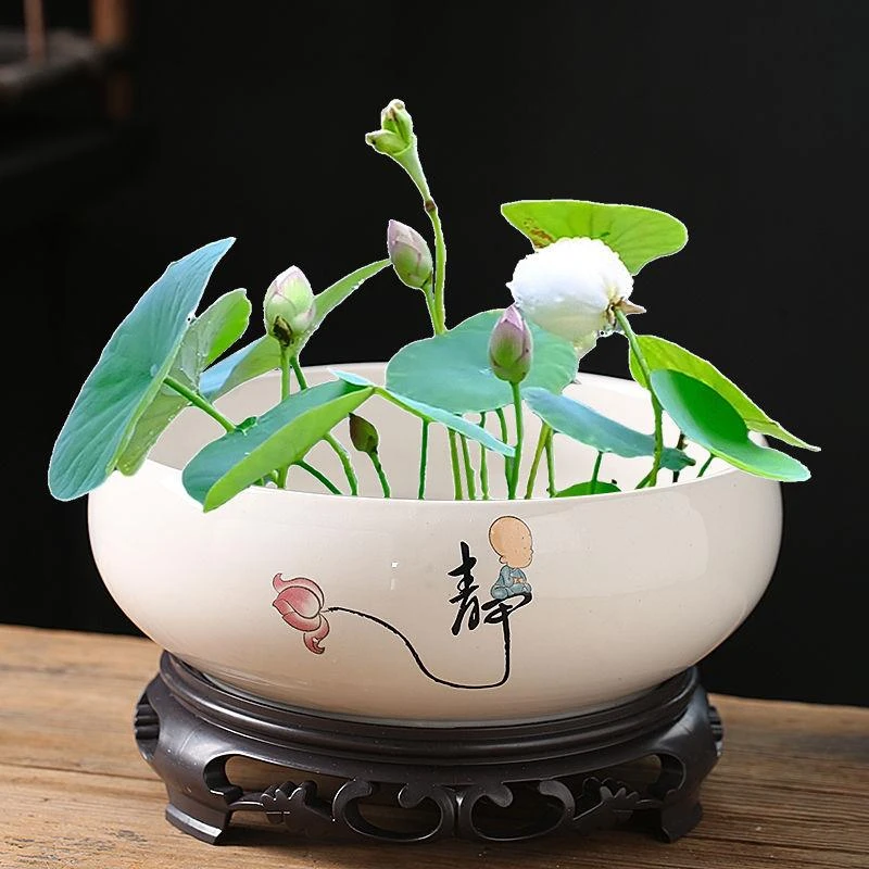 【新疆包邮】碗莲一叶莲荷花草水培器皿陶瓷创意水仙花盆无孔专用