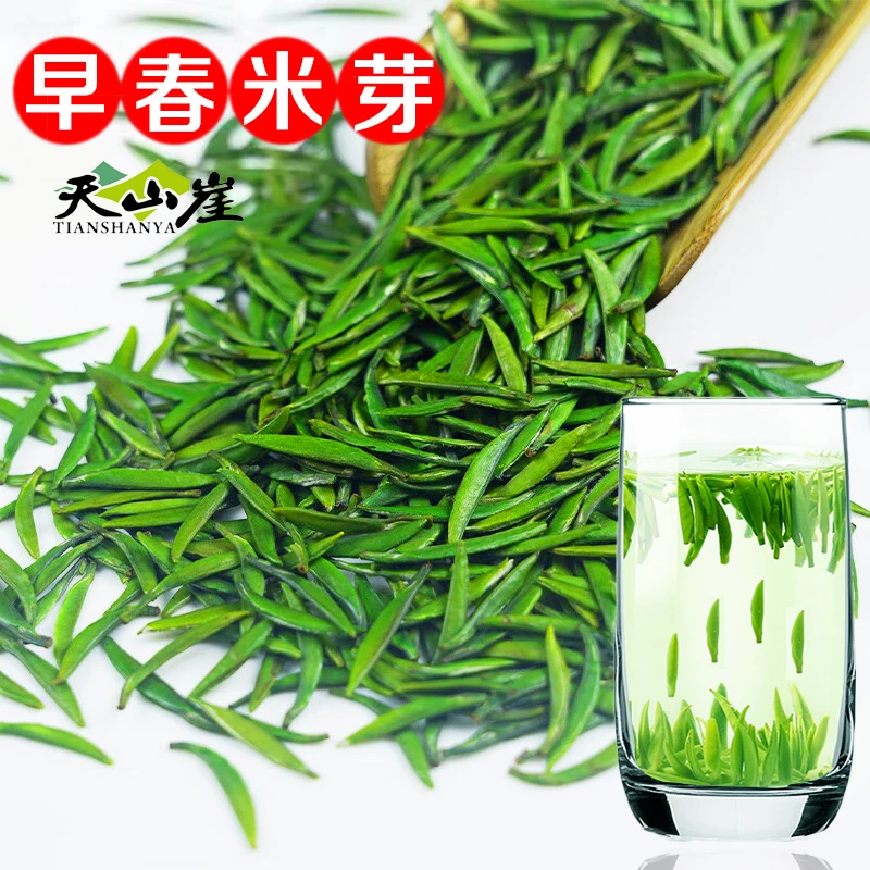 天山崖特级雀舌绿茶小米芽2025新茶叶贵州湄潭翠芽明前嫩芽礼盒装