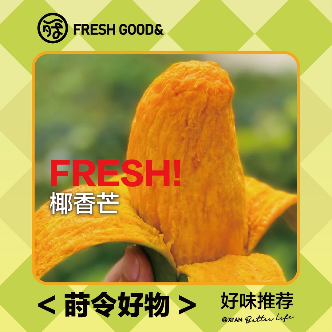 【四川攀枝花直发】椰奶蜜香，芒果中的至上美味，芒果香奶香完美契合