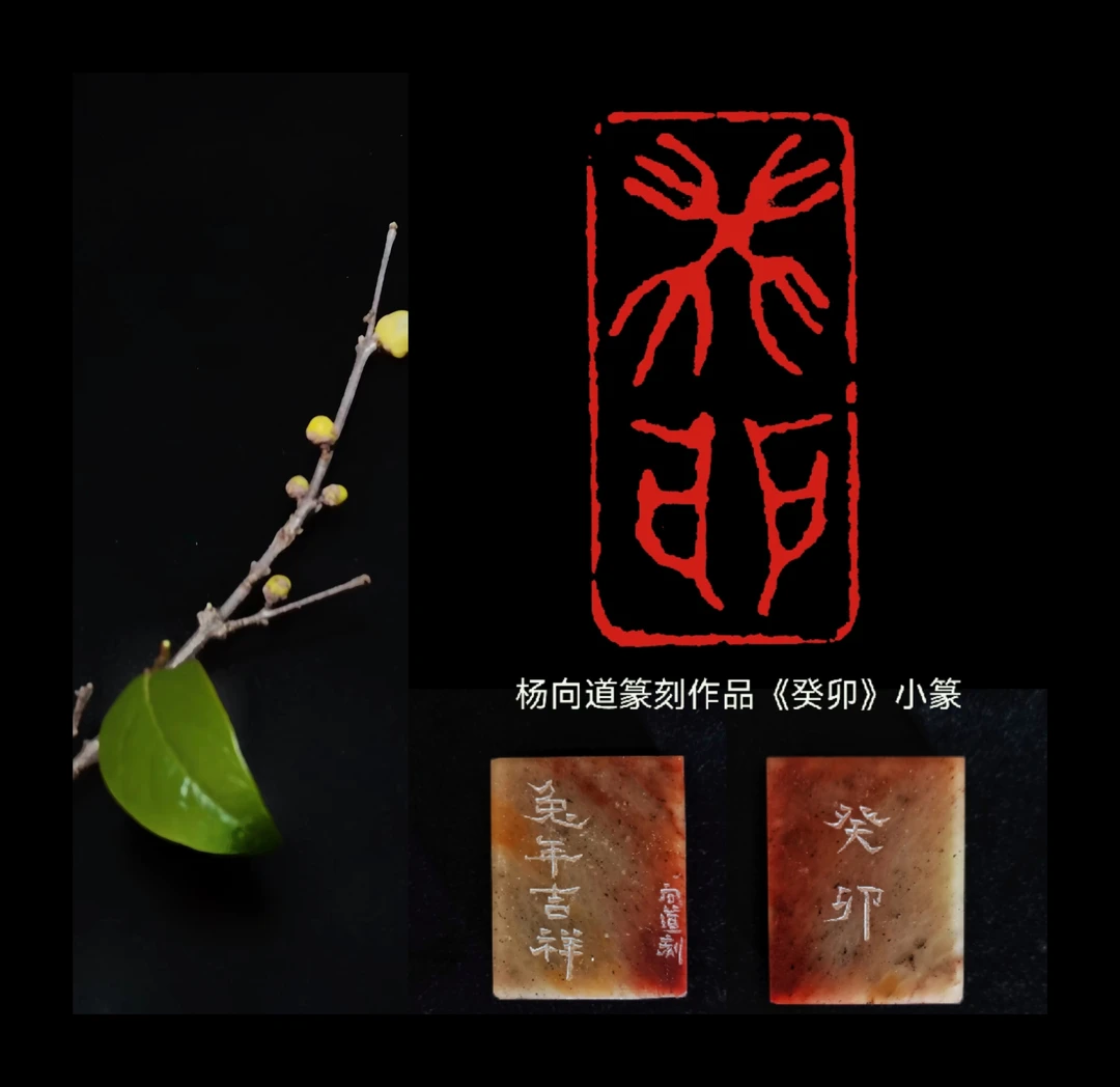 【癸卯】（小篆）杨向道篆刻 作品