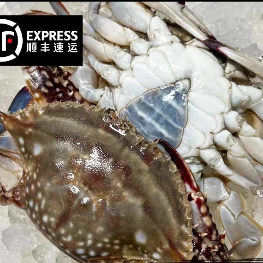 仅限辽宁省拍【保鲜不保活】断氧母蟹单只2-3两 3斤装一斤4只左右