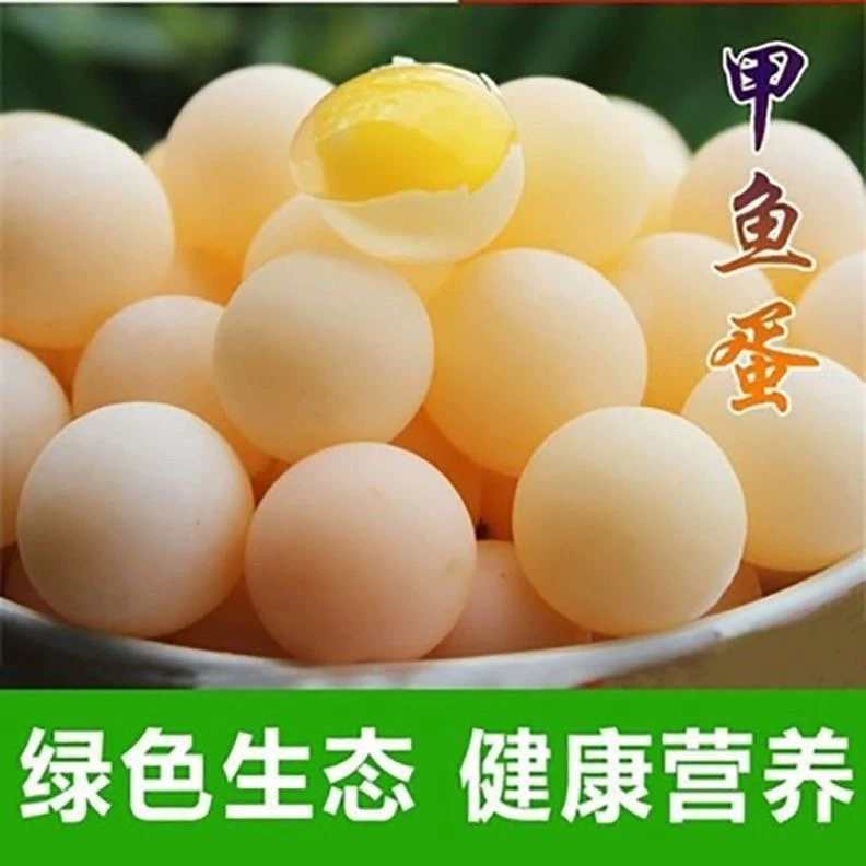 【包邮】精品甲鱼蛋【50枚送10枚】新鲜现挖现发生态滋补营养辅食