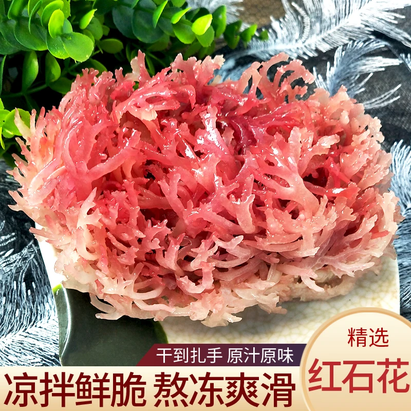 怡海之家红石花菜麒麟菜血珊瑚草海燕窝石花菜海冻菜海藻干货