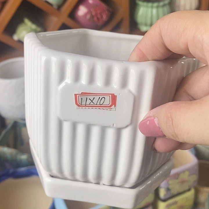 红陶20CM（含）-50CM（不含）信号开播福利多多