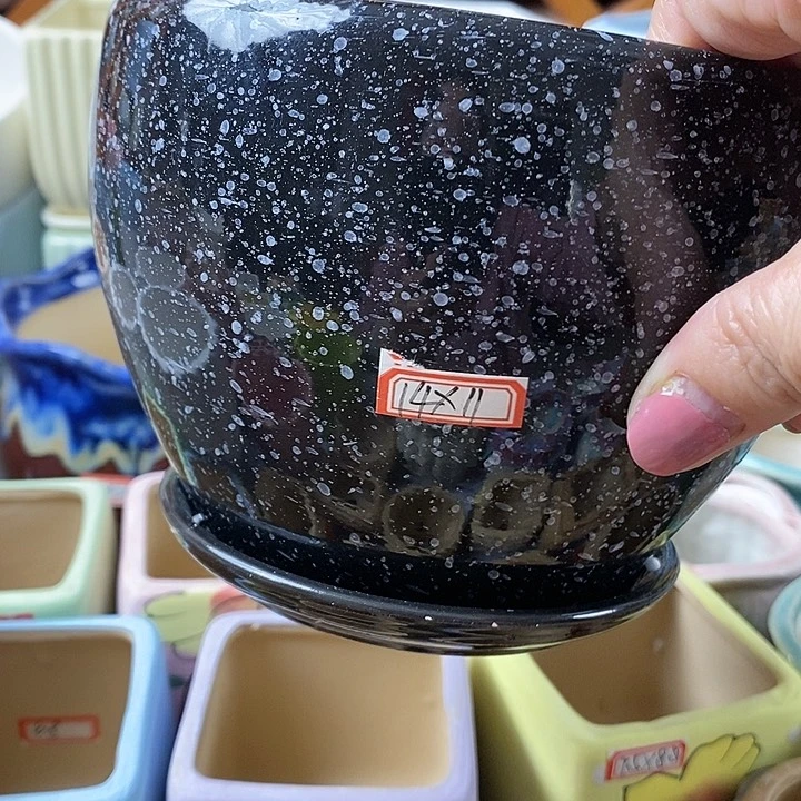 红陶20CM以下新号开播福利多多