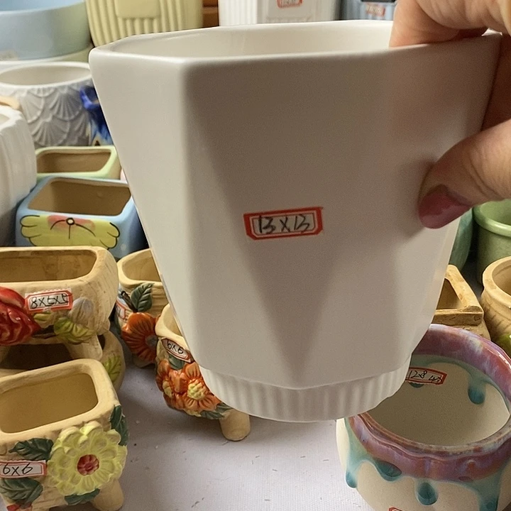 红陶20CM以下新号开播福利多多