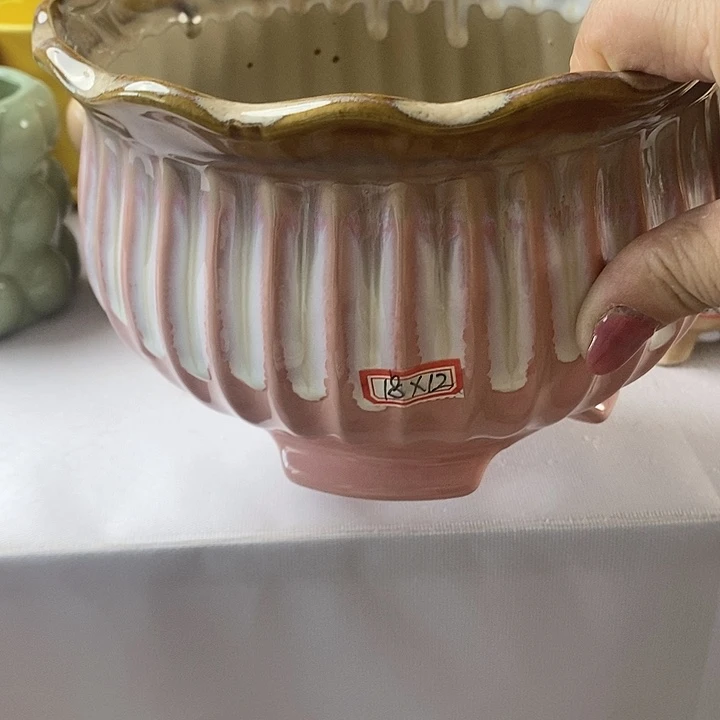 红陶20CM以下新号开播福利多多