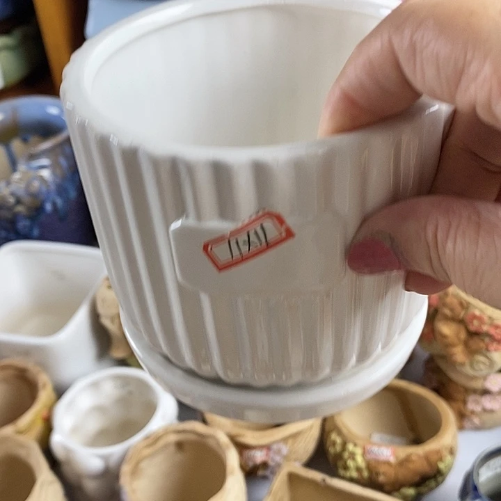 红陶20CM以下新号开播福利多多