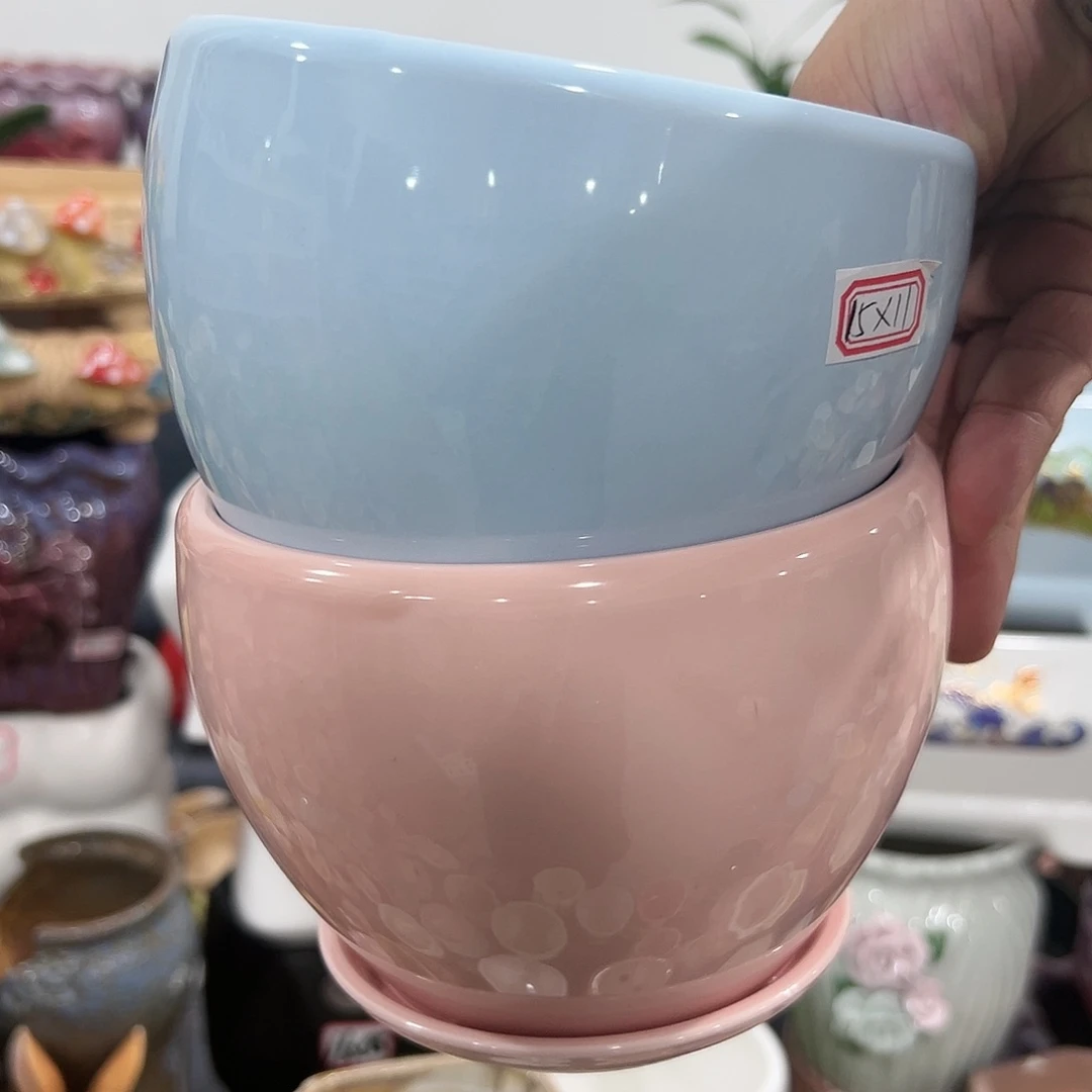 红陶20CM（含）-50CM（不含）