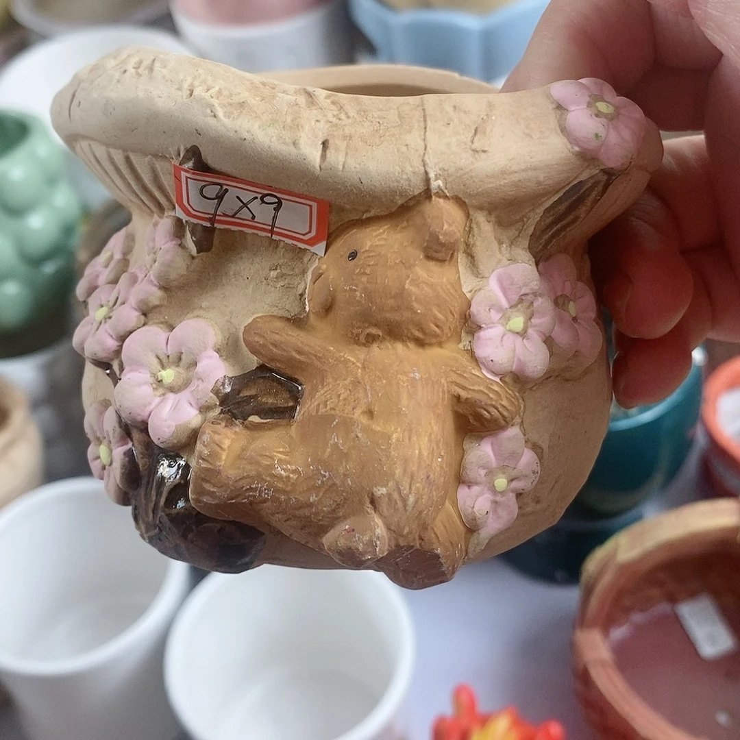 陶瓷20CM以下新号开播福利多多