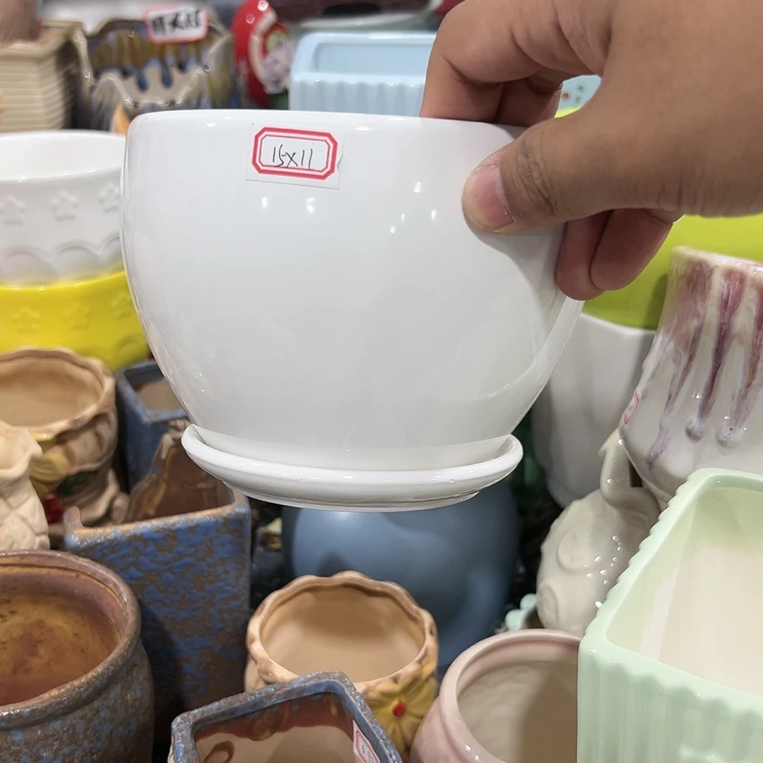 红陶20CM（含）-50CM（不含）