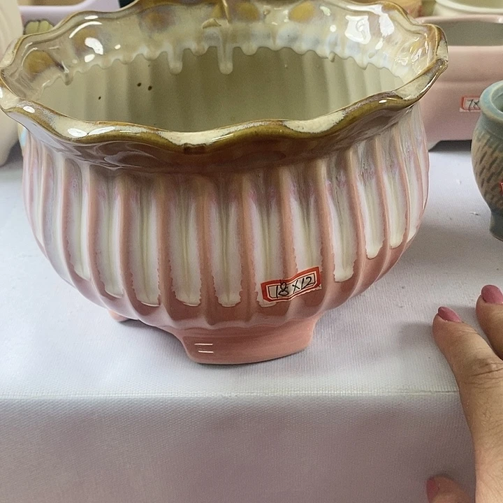 红陶20CM以下信号开播福利多多