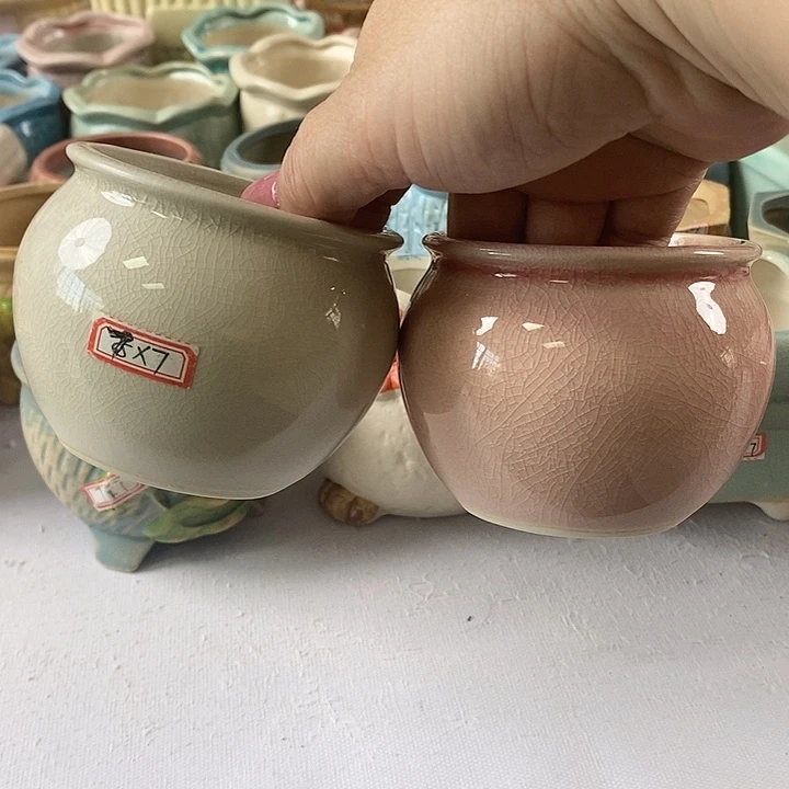 红陶20CM以下新号开播福利多多