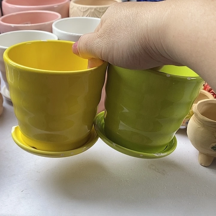 红陶20CM以下新号开播福利多多