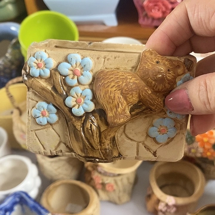 红陶20CM以下新号开播福利多多