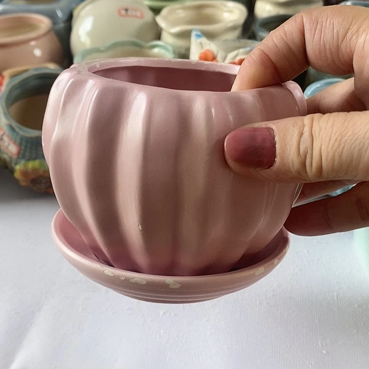 红陶20CM以下新号开播福利多多