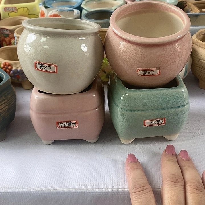 红陶20CM以下新号开播福利多多